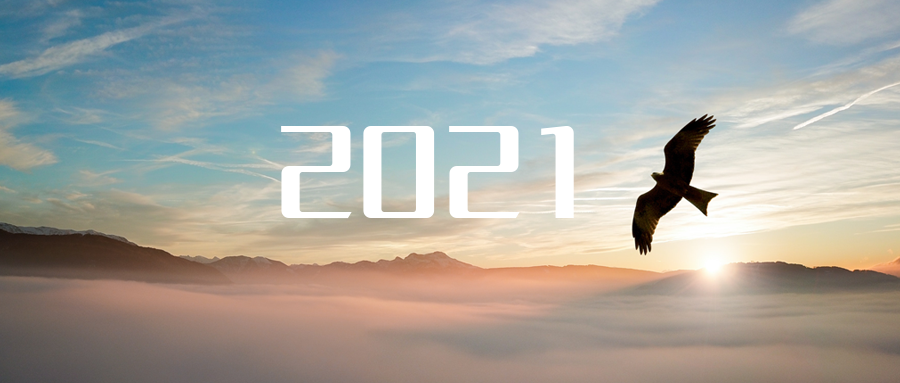 乘“峰”而上，智“盈”未来 ——2021年尊龙凯时环境高级资深副总裁新年开工动员